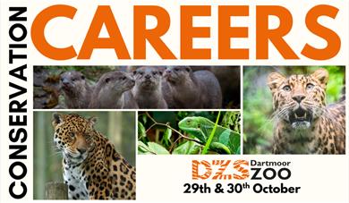 Conservation Careers