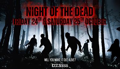 Night of the Dead – Zombie Survival Challenge
