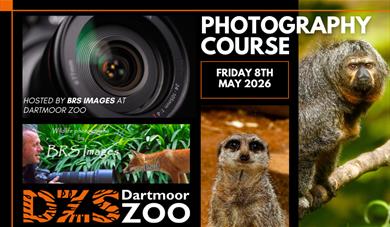 Photography Course with BRS Images