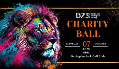 Charity Ball