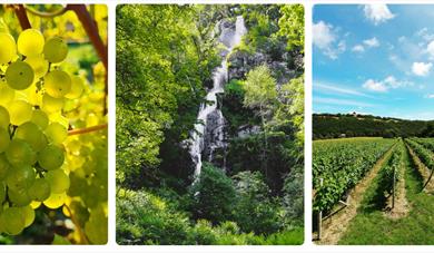 Dartmoor waterfalls + Wine