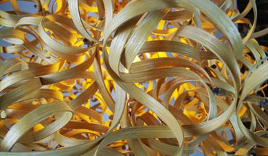 Advanced Sculptural Steam-bending