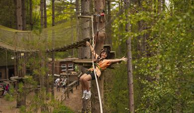 Summer fun at Go Ape Haldon Forest