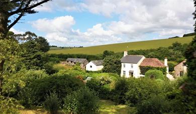 Dittiscombe Estate & Cottages