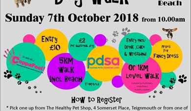 The Big Teignmouth Dog Walk