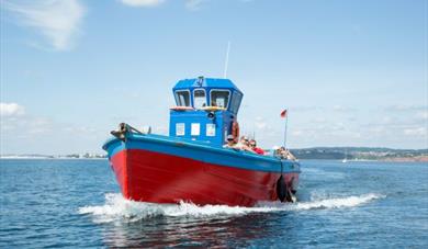 Mackerel Fishing Trips
