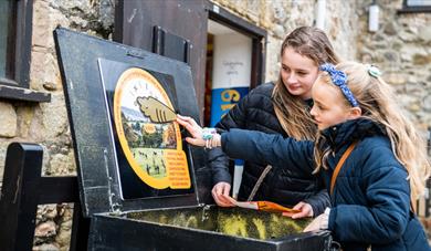 Girls enjoy Golden Carrot Hunt at The Donkey Sanctuary