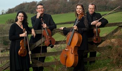 Music at the Museum: Haldon String Quartet