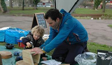 Nest box building