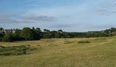 The Maer Local Nature Reserve