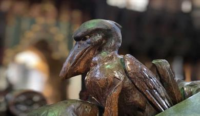 Birds of Exeter Cathedral Tour