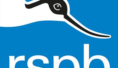 Easter Holiday Craft Activities at RSPB Bowling Green