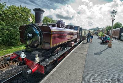 South Devon Railway train