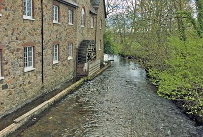 The River Bovey