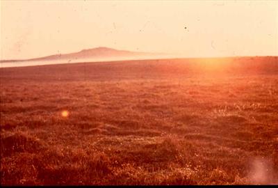 Dartmoor sun- DCC