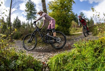 Cycling at Haldon Forest Park