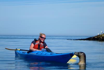 Friendly Seal!