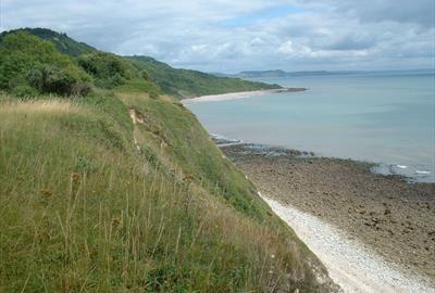 Axmouth to Lyme Regis (English Nature)