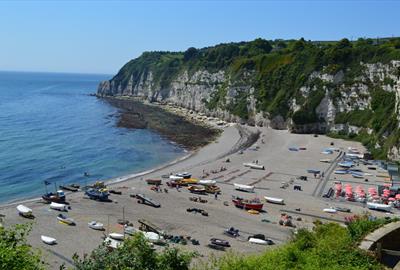 Beer Beach. Image taken from the Cliffs