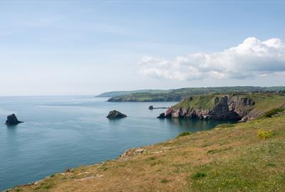 Berry Head