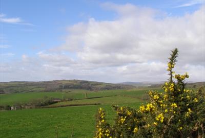 Blackdown Rings from Hendham