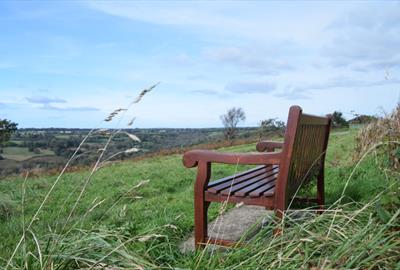 Blackdown Hill AONB View