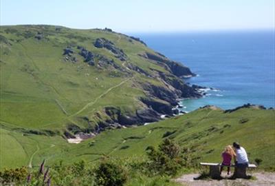 Bolberry Down looking towards Soar Mill Cove, South Devon. Photographer Andy Milsom, Bristol.