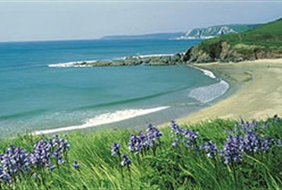 Challaborough Beach