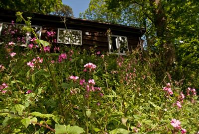 Churchwood Valley Holiday Cabins