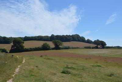 Dawlish Countryside Park