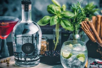 Exeter Gin