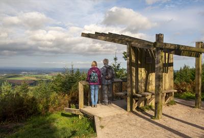 Haldon Forest Park