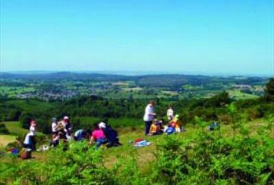 Fire Beacon Hill LNR - East Devon District Council