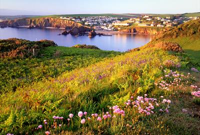 Hope Cove Beach