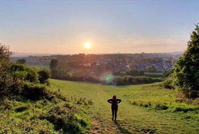 Ludwell Valley Park