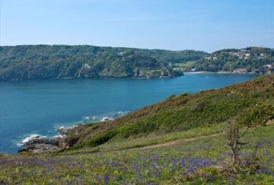 Salcombe Estuary taken from the Coastal Path between East Portlemouth & Gara Rock. Bluebell Time & Tide wait for no man, only nature. Photographer Mic