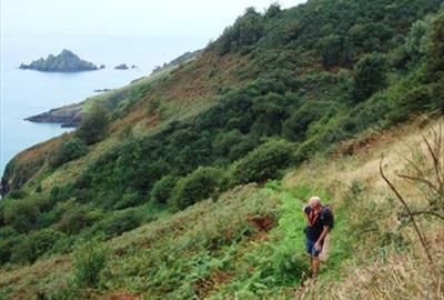 Near Scabbacombe head. Photographer S Curtis