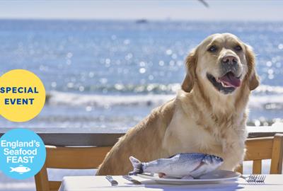 Sea Dogs at Shoreline, England's Seafood FEAST