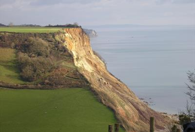 Photo supplied by Sarah Firth, Devon County