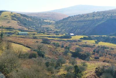 Okehampton Countryside Walks - West