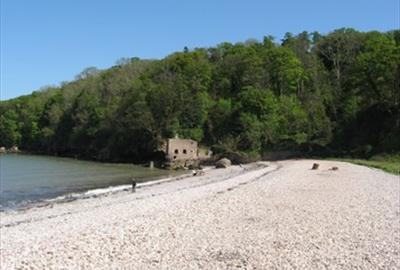 Elberry Cove. Photographer Jennifer Rowlandson, Tiverton
