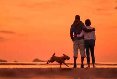 Preston Sands Paignton