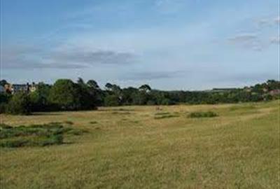 The Maer Local Nature Reserve