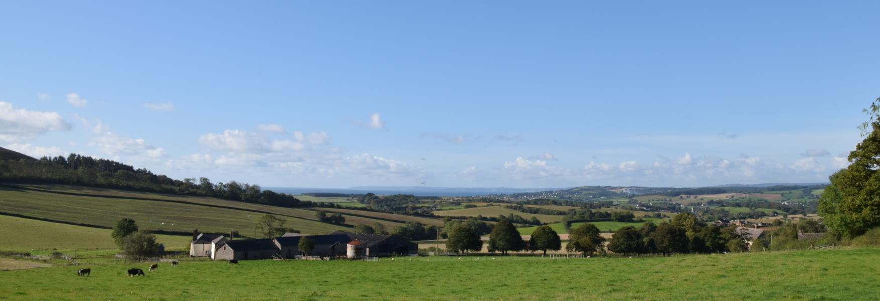 Budleigh Salterton Countryside