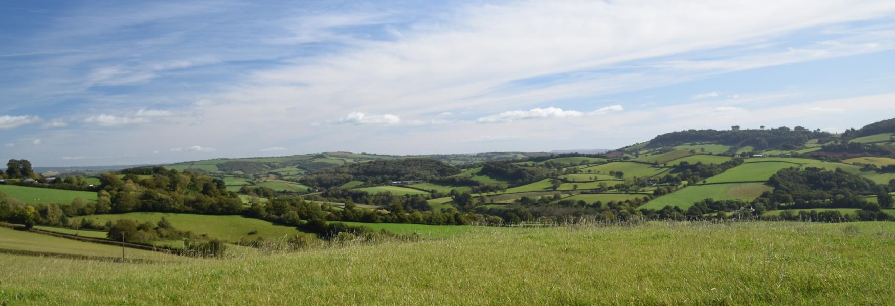 Tiverton Countryside