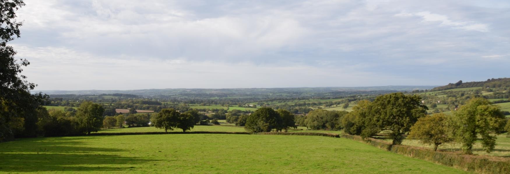 Blackdown Hills AONB