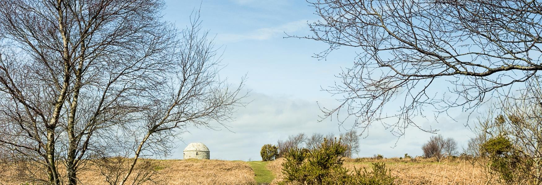 Blackdown Hills AONB