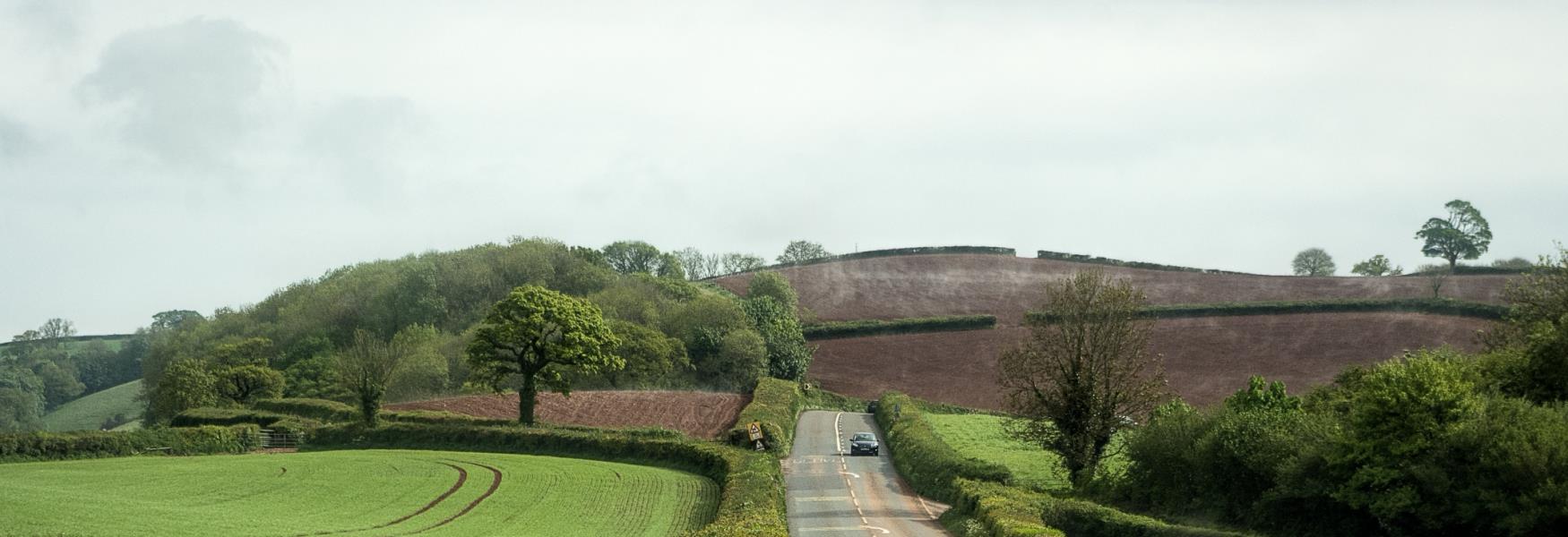 Country Lane