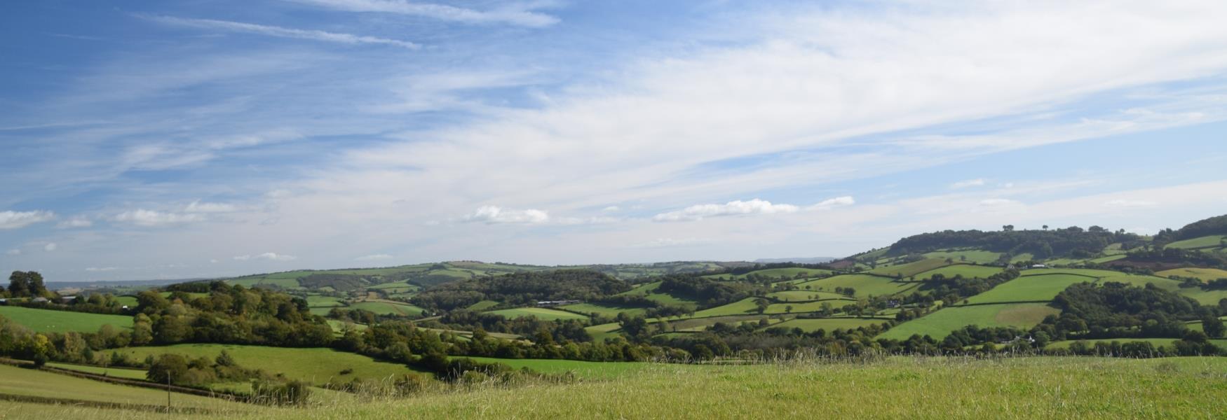 Countryside around Tiverton