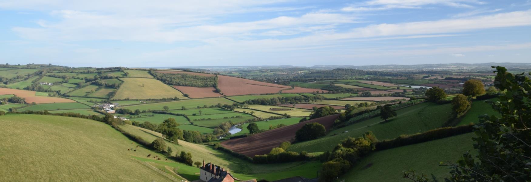 Countryside around Crediton